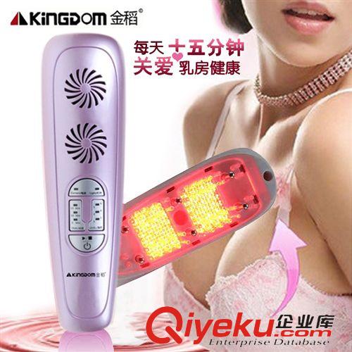 金稻系列 按摩器金稻超聲波KD-9088美容儀器RF射頻燃脂jf儀 一件代發