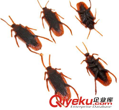 整人/搞怪產(chǎn)品 仿真蟑螂 小強(qiáng) 整蠱玩具 搞怪創(chuàng)意整人玩具 嚇一跳嚇人
