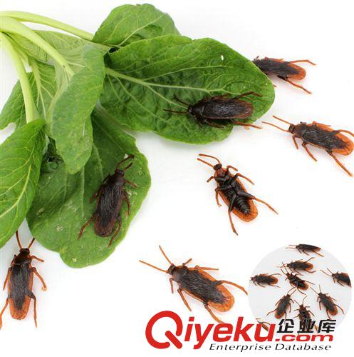 整人/搞怪產(chǎn)品 仿真蟑螂 小強(qiáng) 整蠱玩具 搞怪創(chuàng)意整人玩具 嚇一跳嚇人原始圖片2