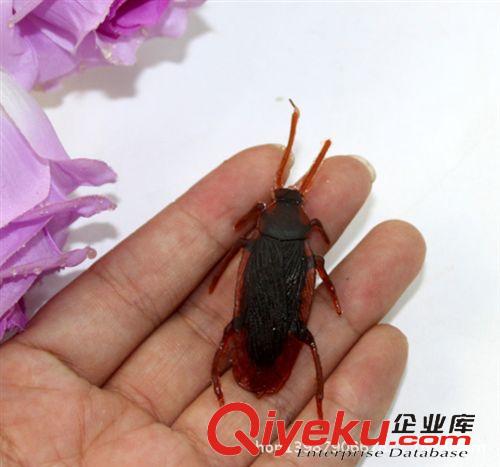 整人/搞怪產(chǎn)品 仿真蟑螂 小強(qiáng) 整蠱玩具 搞怪創(chuàng)意整人玩具 嚇一跳嚇人原始圖片3