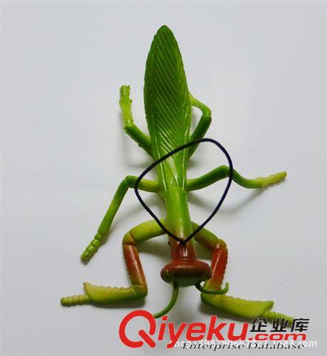 仿真玩具/仿真動物 工廠直銷 塑料軟膠 整人 教具 嚇人 仿真動物模型玩具 仿真螳螂原始圖片2