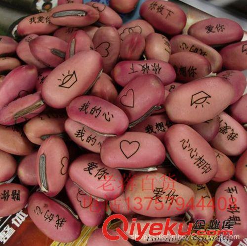 開心農場/自種草系列 1天秤座開心農場盆栽魔豆種子創意迷你植物 花草 種植 栽培 愛情