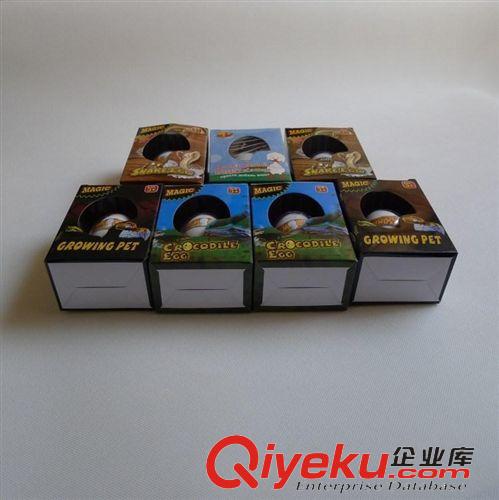 玩具 玩具 恐龍蛋 孵化蛋 會長大的蛋 復活蛋 tj兒童新奇特泡水膨脹原始圖片3