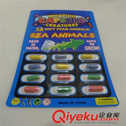 其它新奇玩具 神奇長大植物 世紀之花 泡水膨脹玩具 新奇特節日禮物 地攤熱賣