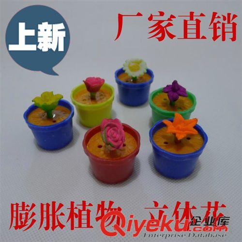 其他益智玩具 中號復活迷你裂紋 孵化膨脹恐龍蛋 泡水蛋 小孩好奇玩具 地攤熱賣