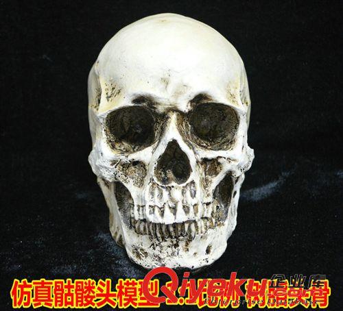 【萬(wàn)圣節(jié)用品】 萬(wàn)圣節(jié)道具鬼節(jié)用品愚人節(jié)道具整人玩具 恐怖血手 斷手殘肢 中號(hào)