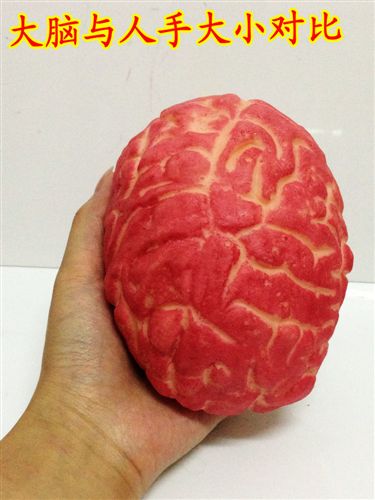 【萬圣節(jié)用品】 萬圣節(jié)玩具 鬼節(jié)用品 鬼屋酒吧恐怖裝飾道具 嚇人逼真大腦道具原始圖片2