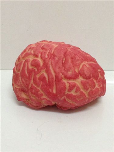 【萬圣節(jié)用品】 萬圣節(jié)玩具 鬼節(jié)用品 鬼屋酒吧恐怖裝飾道具 嚇人逼真大腦道具原始圖片3
