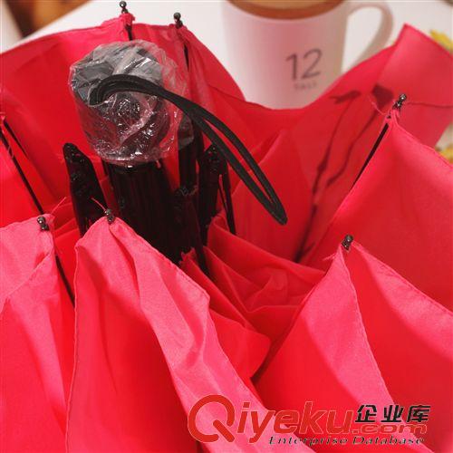 【夏季商品】 批發(fā)  青壹坊  動(dòng)物影像折傘  3圖案  TR-BD47139原始圖片2