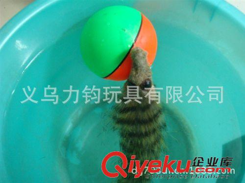 電動玩具 廠家直銷優(yōu)質(zhì)電動海貍球水老鼠海貍鼠水上玩具原始圖片2