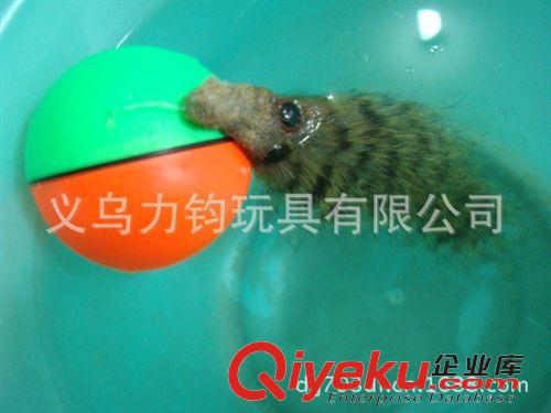 電動玩具 廠家直銷優(yōu)質(zhì)電動海貍球水老鼠海貍鼠水上玩具原始圖片3