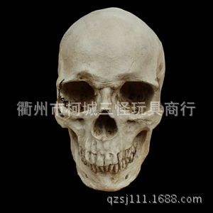 .....場地布置道具 供應(yīng)萬圣節(jié)鬼節(jié)用品 酒吧/KTV裝飾擺設(shè) gf真骷髏頭骨