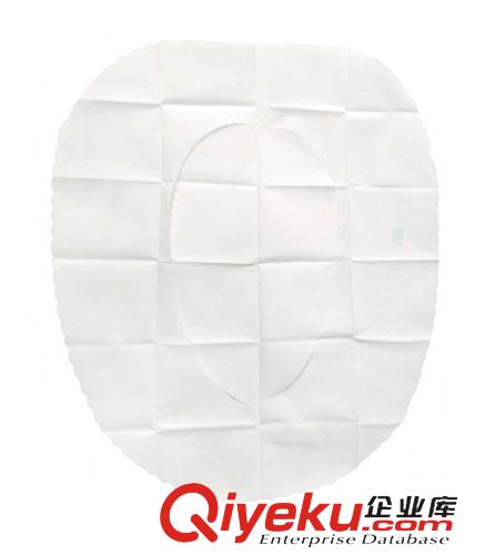 1月新品 悠韻媽咪 孕產婦待產粘貼式坐廁紙一次性馬桶墊紙 10片裝原始圖片3