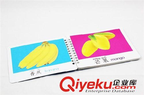 早教 啟蒙 益智 教育 兒童學習認知識字聰明啟蒙早教翻翻書 寶寶圈圈書 圖文結合原始圖片3