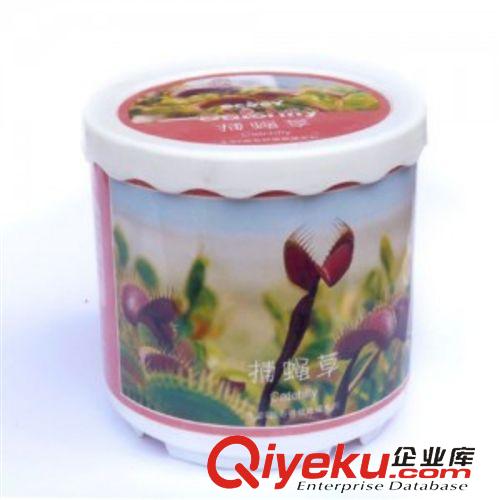 盆景 C175 生態(tài)園奇特植栽罐--幸運草
