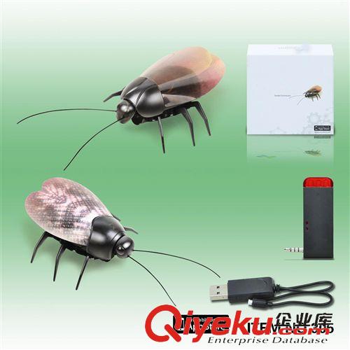 全部產(chǎn)品 iphone控制產(chǎn)品 無線遙控玩具-紅外線遙控蟑螂 暢銷日本 現(xiàn)貨供應(yīng)