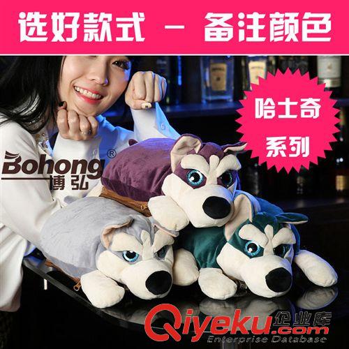 家居百貨 2014新款 卡通充電防暴雙插手電熱水袋 可拆洗熱水袋暖手寶 廠家原始圖片2