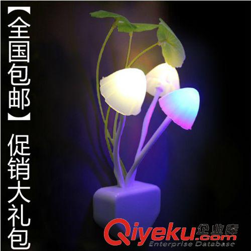 人氣寶貝 廠家直銷感光小夜燈 夜市地攤熱賣精品新奇特產(chǎn)品批發(fā) 熱銷新品原始圖片2