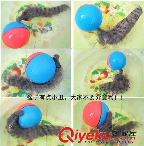 其他益智玩具 電動動物精靈鼠熱銷地攤王電動新款海貍球 節(jié)能電動海貍包郵原始圖片2
