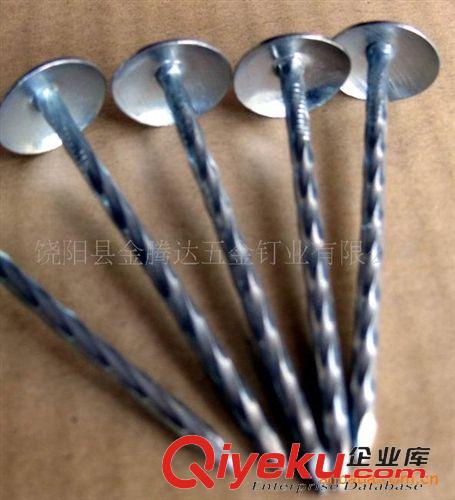 鐵釘 專業生產環紋釘，環紋鐵釘