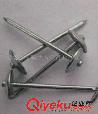 鐵釘 電鍍（光桿）（螺旋）瓦楞釘，傘型帽瓦楞釘原始圖片2