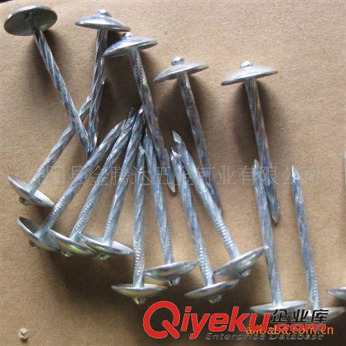 鐵釘 電鍍（光桿）（螺旋）瓦楞釘，傘型帽瓦楞釘原始圖片3