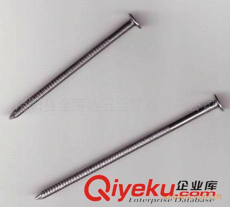 鐵釘 專業生產環紋釘，環紋鐵釘原始圖片3