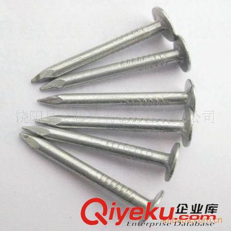 鐵釘 專業生產屋頂釘，油氈釘，大帽釘原始圖片2