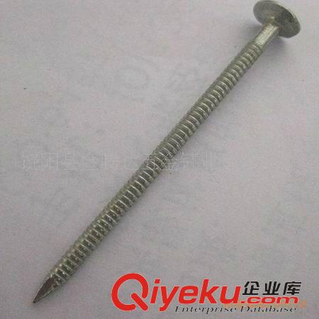 鐵釘 專業生產環紋釘，鐵釘原始圖片2