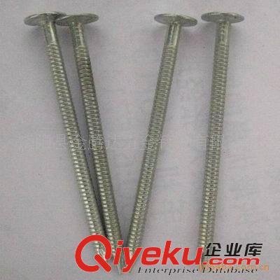 鐵釘 專業生產環紋釘，鐵釘原始圖片3
