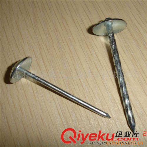 鐵釘 光桿瓦楞釘和環(huán)紋瓦楞釘