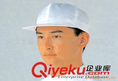 生產(chǎn)線防靜電產(chǎn)品及設(shè)施 直銷供應(yīng) 4mm PP中空板 塑料中空板 白色中空板