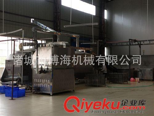 烘干線系列 *腐竹烘干機*箱式烘干機東北人參 長白山白參中藥材烘干機原始圖片2