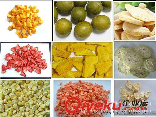 真空凍干機(jī) 休閑食品真空凍干機(jī)、果蔬肉制品真空干燥冷凍設(shè)備原始圖片2