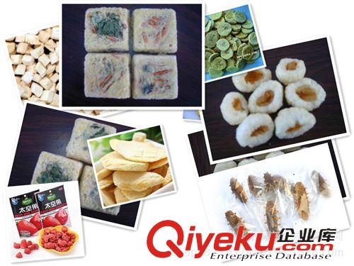 真空凍干機 諸城博海機械，果蔬熱敏性、活性物料凍干設備-真空冷凍干燥機”