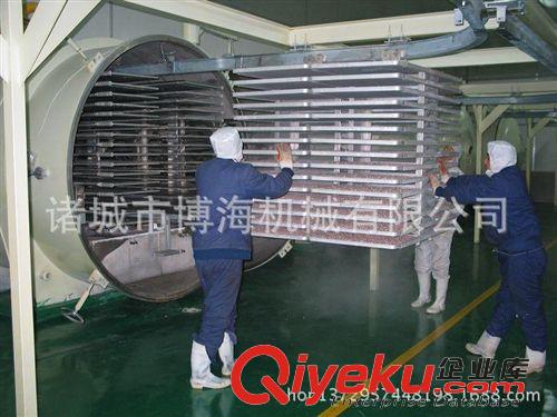 真空凍干機 供應，博海機械，熱敏性、活性物料烘干設備-真空冷凍干燥機”原始圖片3
