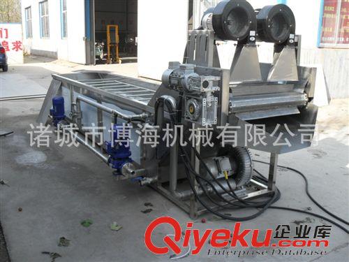 清洗流水線系列 【蔬菜氣泡清洗機*水果清洗機*噴淋水臭氧氣泡清洗機蔬菜清洗設備原始圖片2