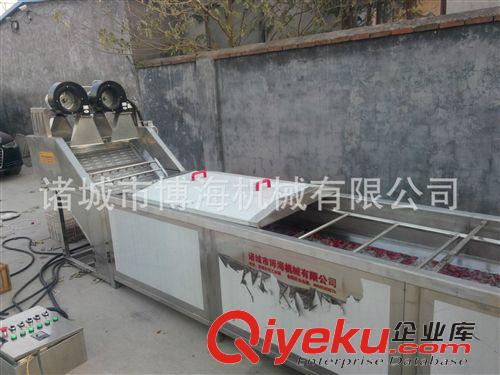 清洗流水線系列 【蔬菜氣泡清洗機*水果清洗機*噴淋水臭氧氣泡清洗機蔬菜清洗設備原始圖片3