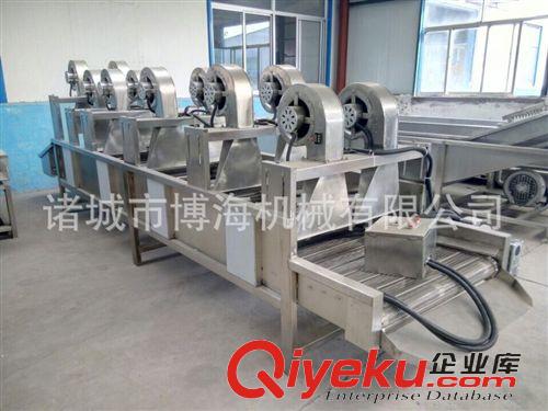 清洗流水線系列 *連續(xù)式蔬菜清洗機(jī)，氣泡清洗機(jī)，果蔬菜累臭氧清洗機(jī)，博海直銷