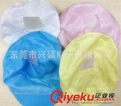 防靜電服 防靜電大小工帽 防靜電帽子 女式防靜電帽 防靜電無塵 男女工帽原始圖片2