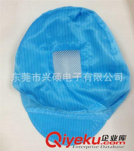 防靜電服 防靜電大小工帽 防靜電帽子 女式防靜電帽 防靜電無塵 男女工帽原始圖片3