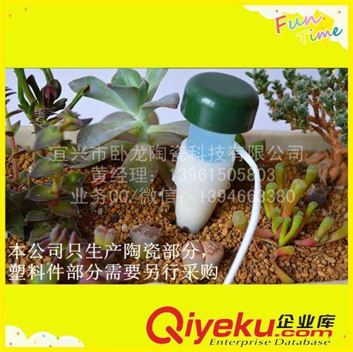 陶瓷滲水器 【臥龍?zhí)沾伞客赓Q(mào)出口自動澆花器原始圖片3