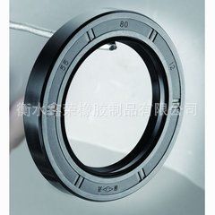 密封圈系列 供應高壓油封，骨架油封，聚氨酯油封