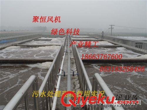 三葉羅茨鼓風(fēng)機 專業(yè)生產(chǎn)JHSSR-100型三葉羅茨風(fēng)機|特殊氣體輸出用風(fēng)機|價格低原始圖片2