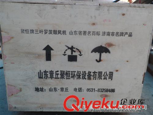 三葉羅茨鼓風(fēng)機 專業(yè)生產(chǎn)JHSSR-100型三葉羅茨風(fēng)機|特殊氣體輸出用風(fēng)機|價格低原始圖片3