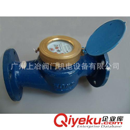 水表 供應旋翼式濕式滴水計量水表/鑄鐵法蘭水表/304不銹鋼水表原始圖片3