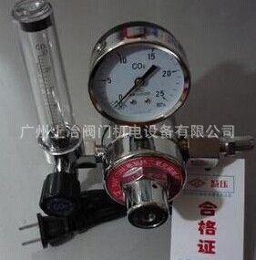 減壓器 YQT-06 YQT-731L 加熱型二氧化碳減壓器  紅旗儀表有限公司廠家原始圖片3