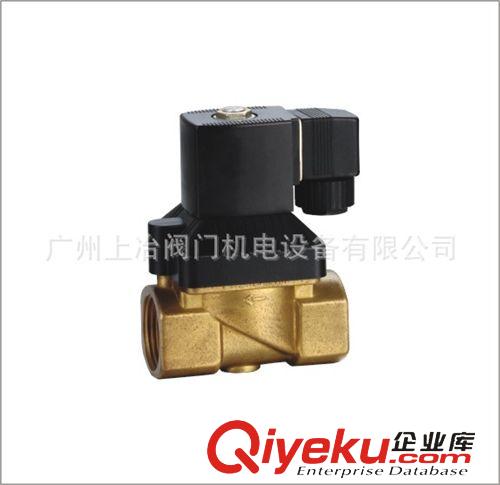 電磁閥 供應2231015B各類水用電磁閥原始圖片3