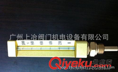 玻璃溫度計 供應金屬保護套溫度計/紅色有機液體/水銀溫度計/不銹鋼套溫度計