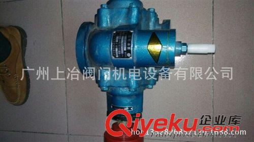 轉子泵 供應河北泊頭星河 KCB-83.3 KCB-200 KCB-300齒輪油泵 水泵原始圖片3